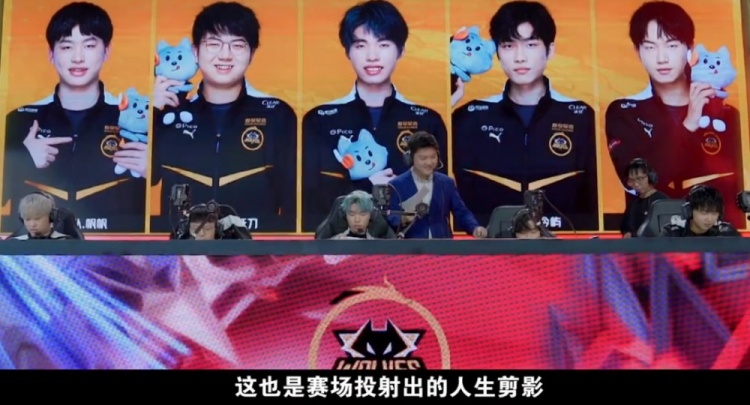 们提供了难