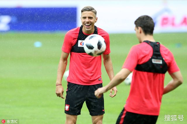 森林狼的团 森林狼的团