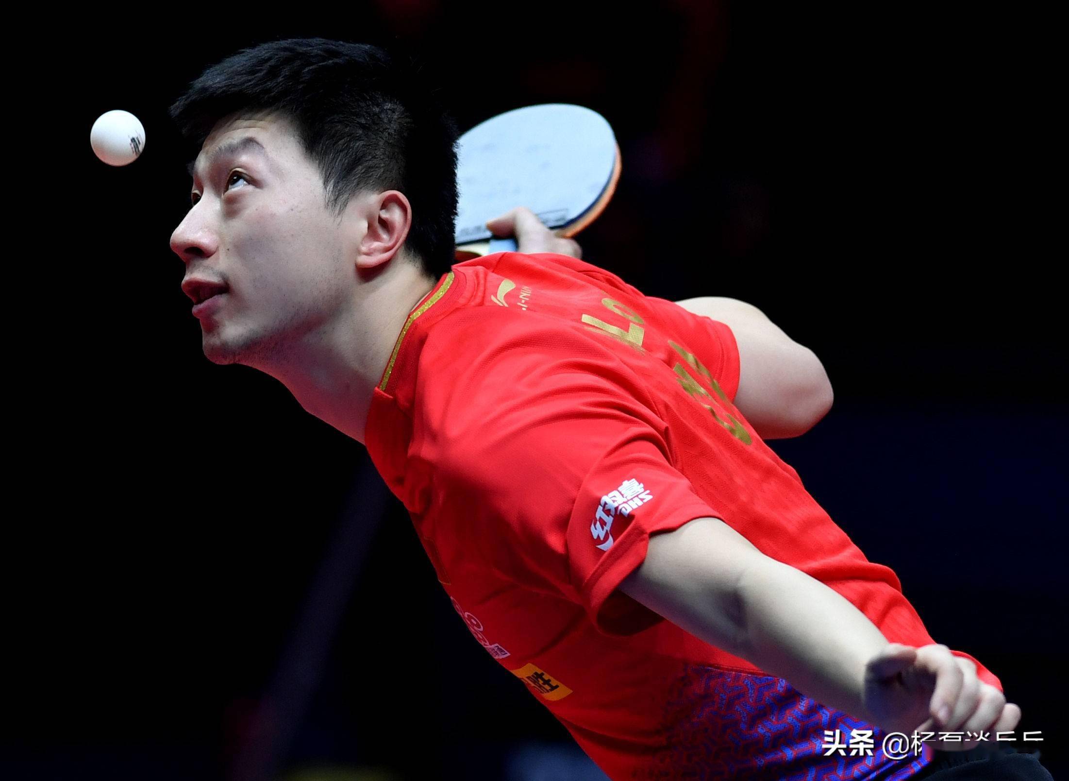 赢得了国内 赢得了国内