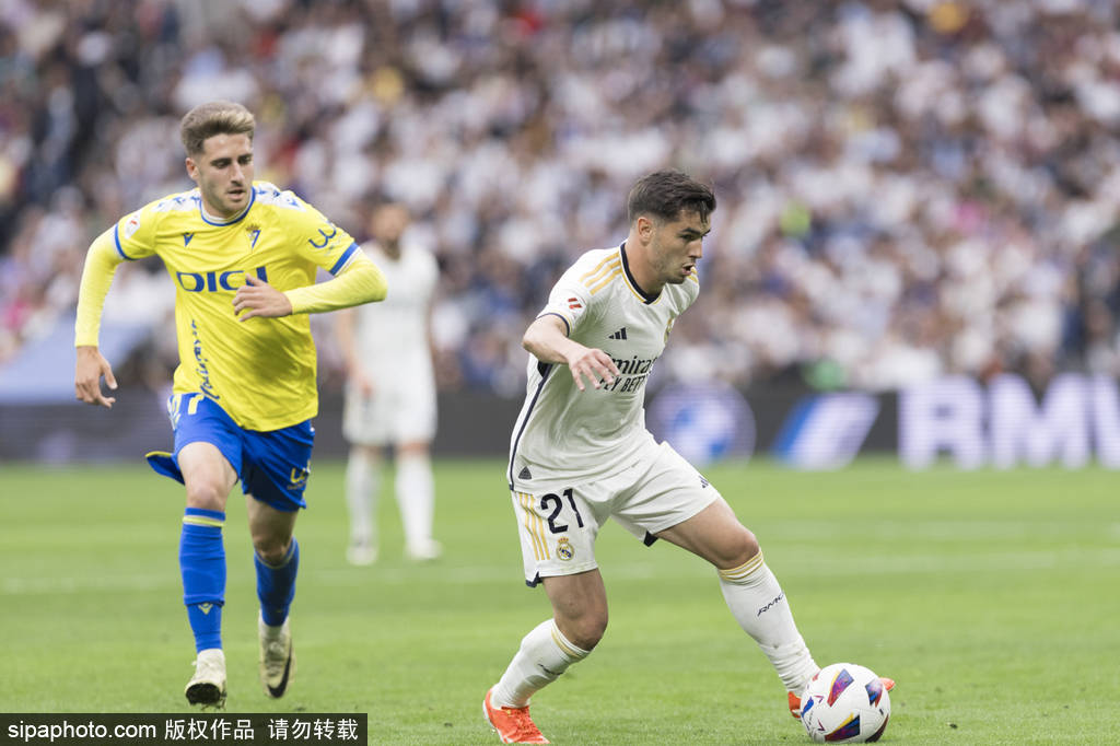 之所以还能 之所以还能